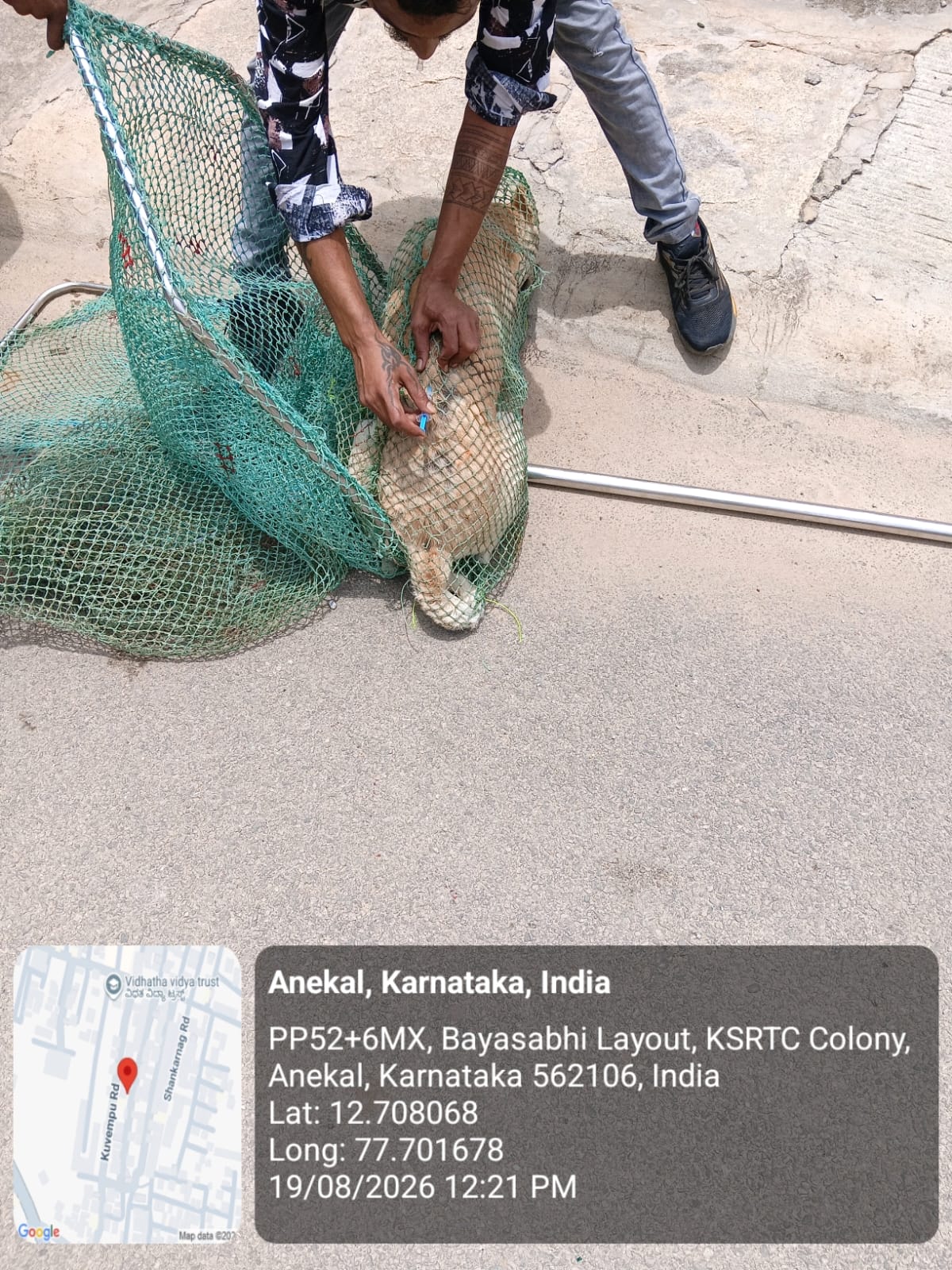 WhatsApp Image 2026-08-19 at 7.06.37 PM (3)