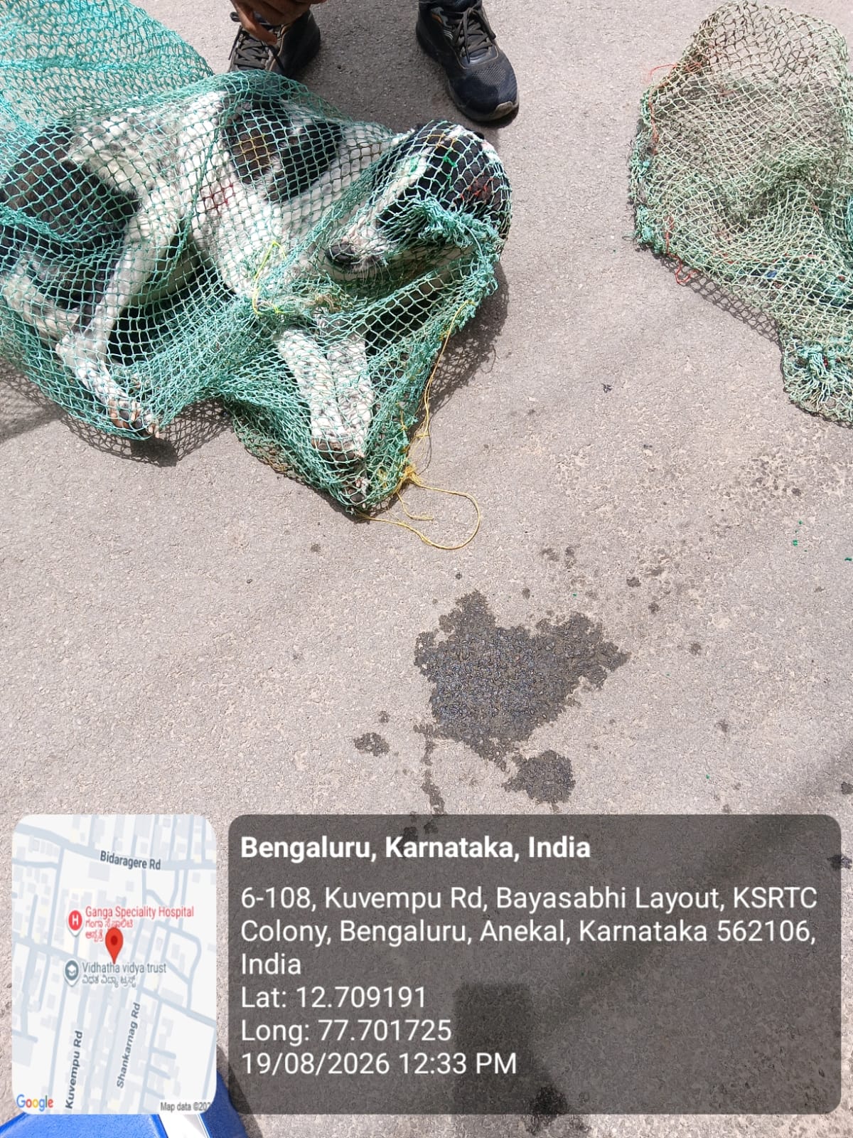 WhatsApp Image 2026-08-19 at 7.06.38 PM (2)
