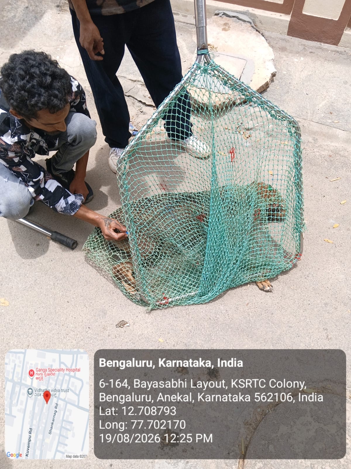 WhatsApp Image 2026-08-19 at 7.06.39 PM (2)