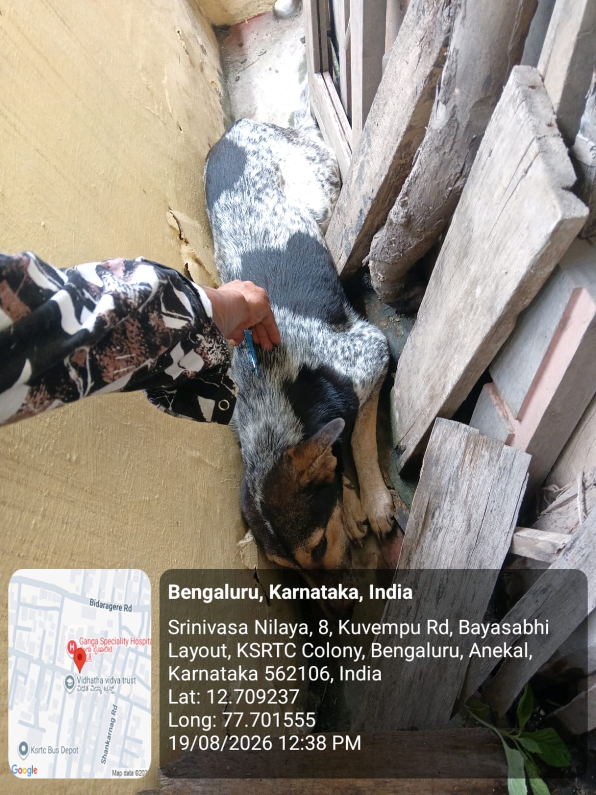 WhatsApp Image 2026-08-19 at 7.06.40 PM (1)