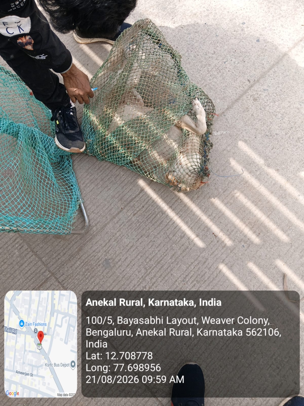 WhatsApp Image 2026-08-21 at 2.19.45 PM (1)