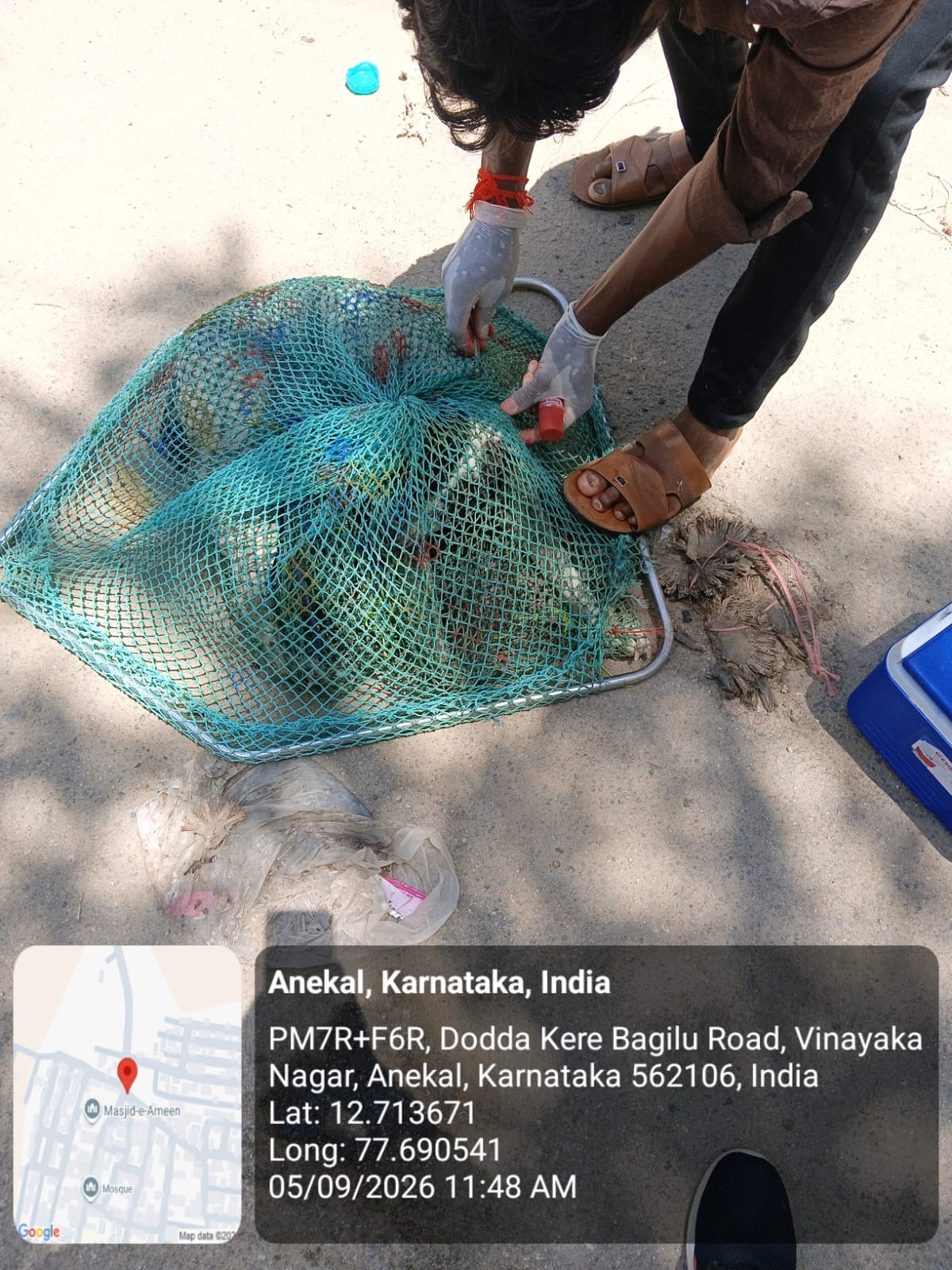 WhatsApp Image 2026-09-05 at 6.31.45 PM