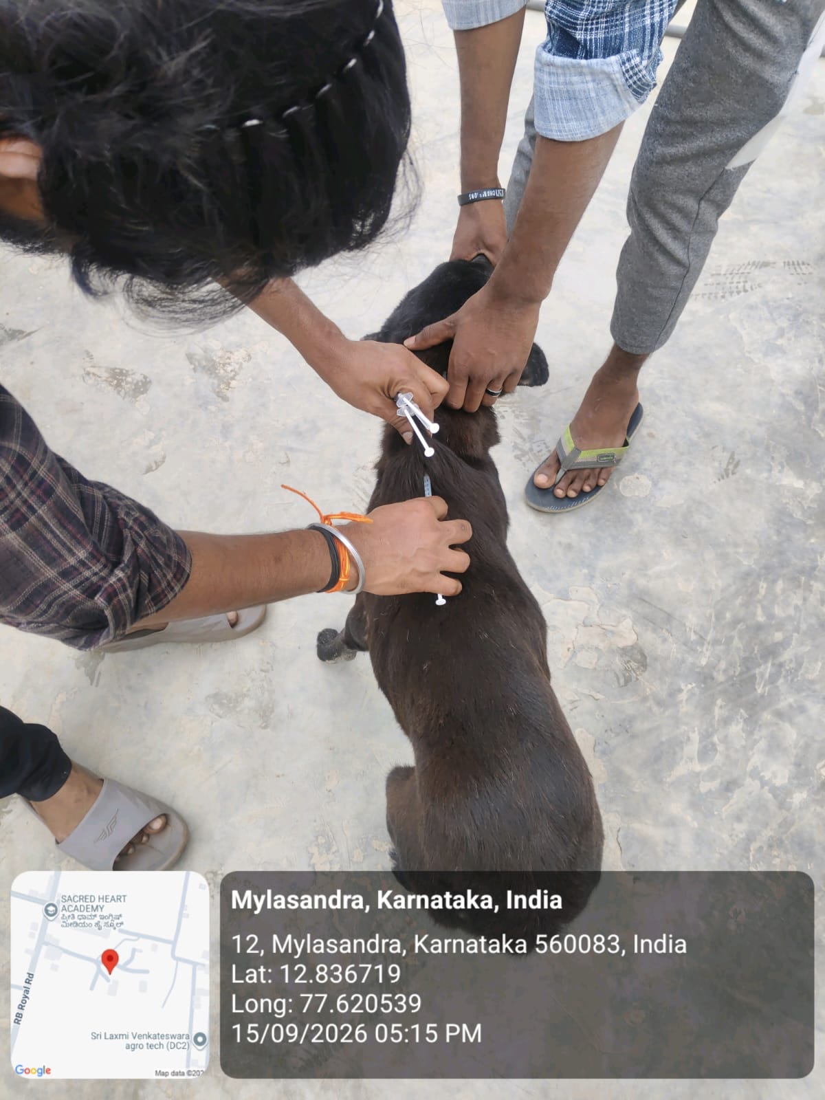WhatsApp Image 2026-09-18 at 2.58.08 PM