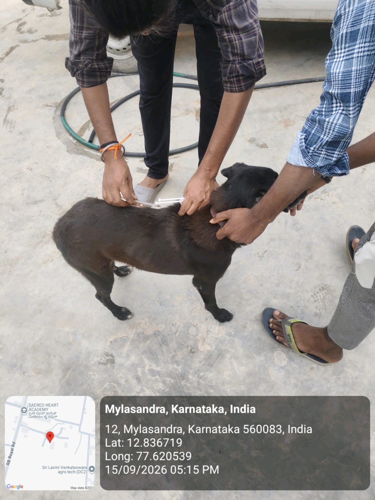 WhatsApp Image 2026-09-18 at 2.58.08 PM(1)