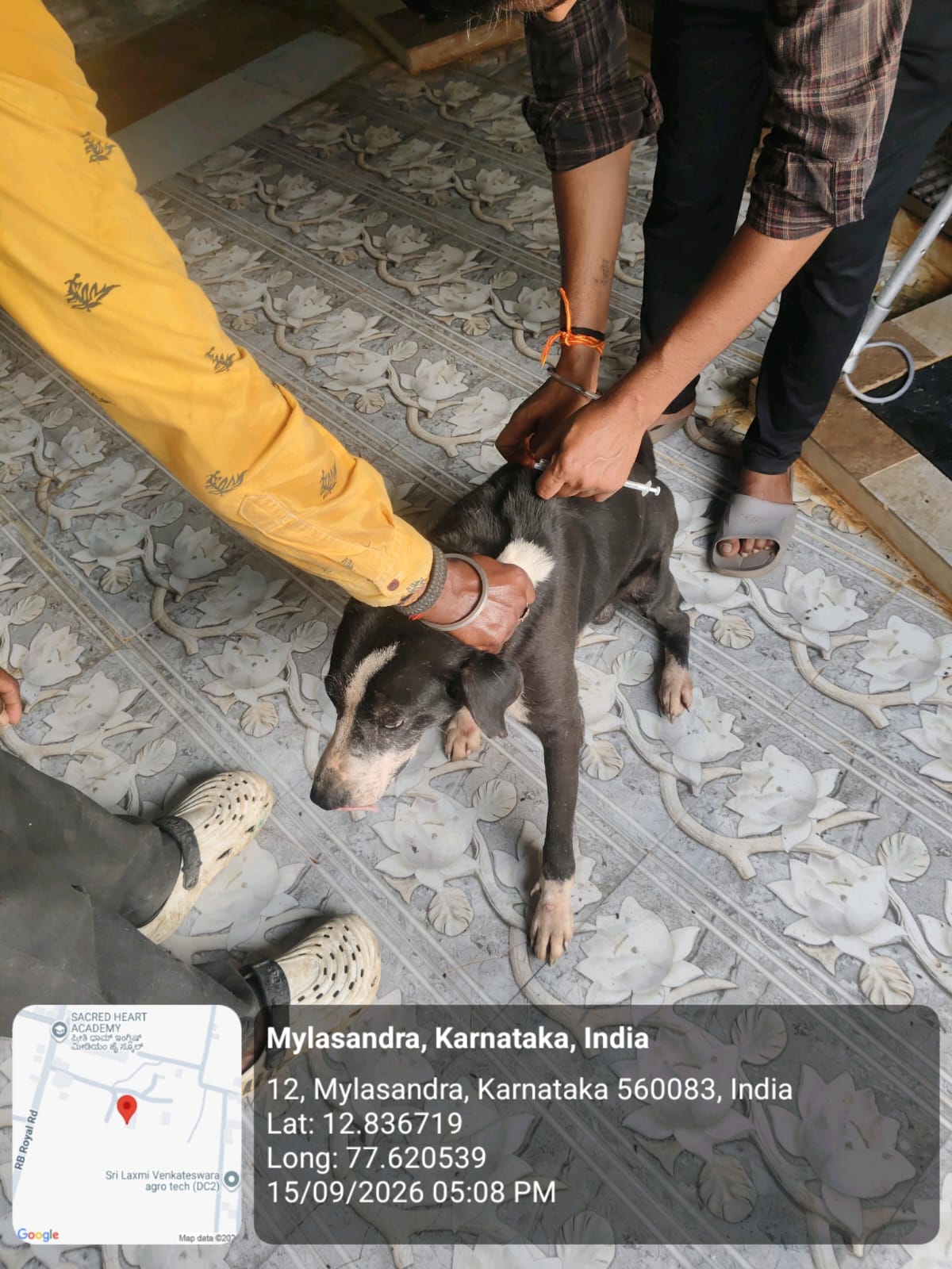 WhatsApp Image 2026-09-18 at 2.58.09 PM(1)