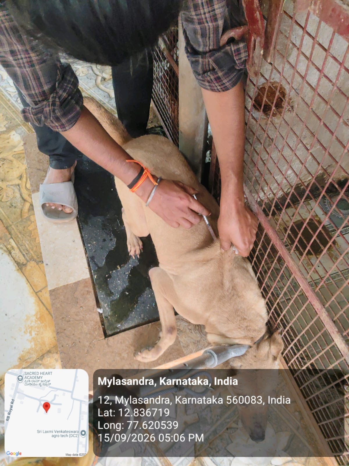 WhatsApp Image 2026-09-18 at 2.58.09 PM(2)