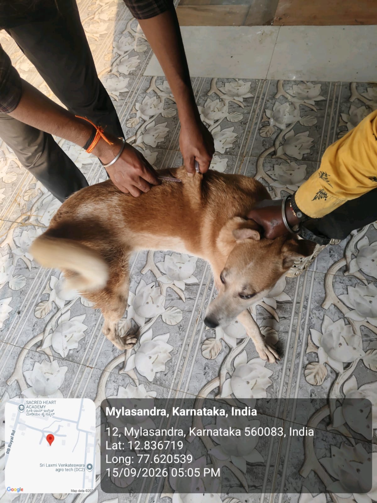 WhatsApp Image 2026-09-18 at 2.58.10 PM(1)