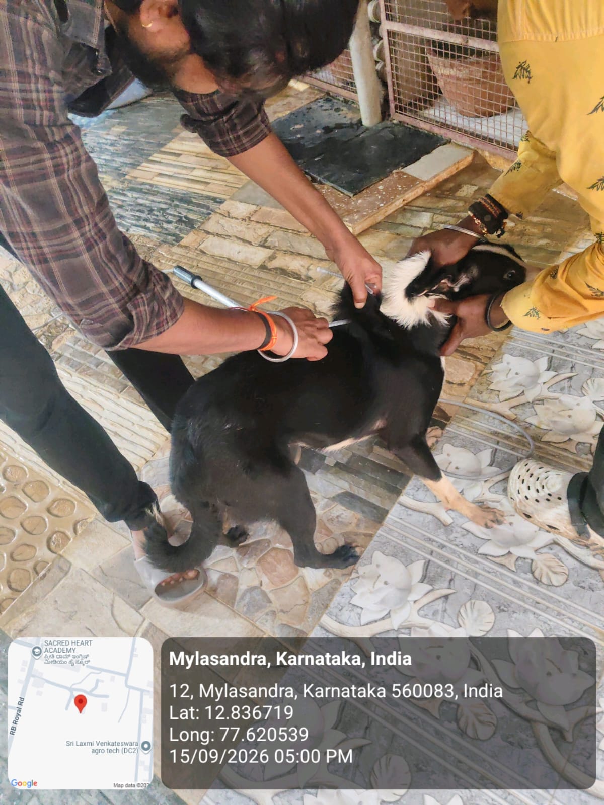 WhatsApp Image 2026-09-18 at 2.58.11 PM(1)