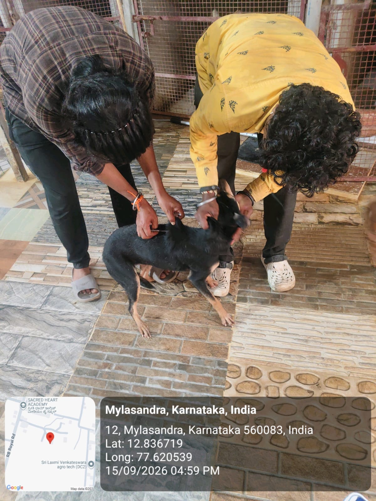 WhatsApp Image 2026-09-18 at 2.58.11 PM(2)