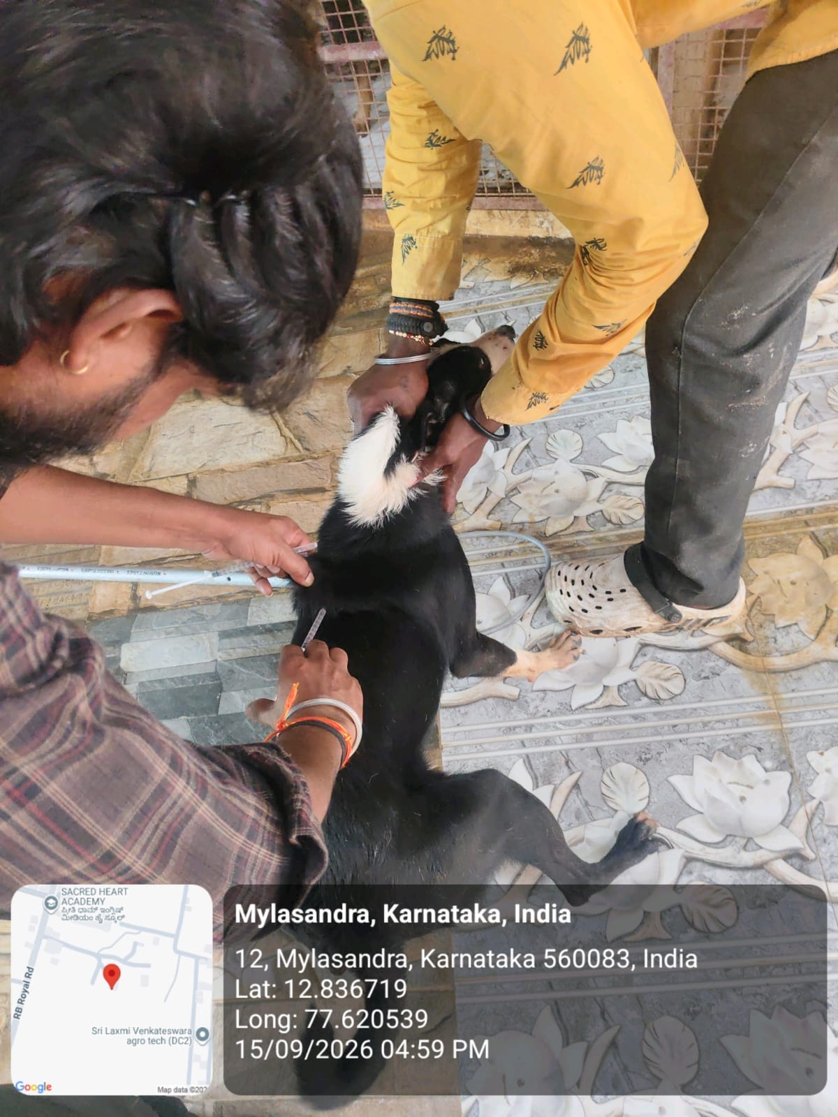 WhatsApp Image 2026-09-18 at 2.58.19 PM(1)