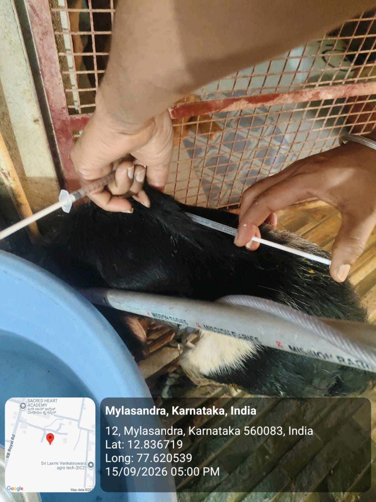 WhatsApp Image 2026-09-18 at 2.58.19 PM(2)