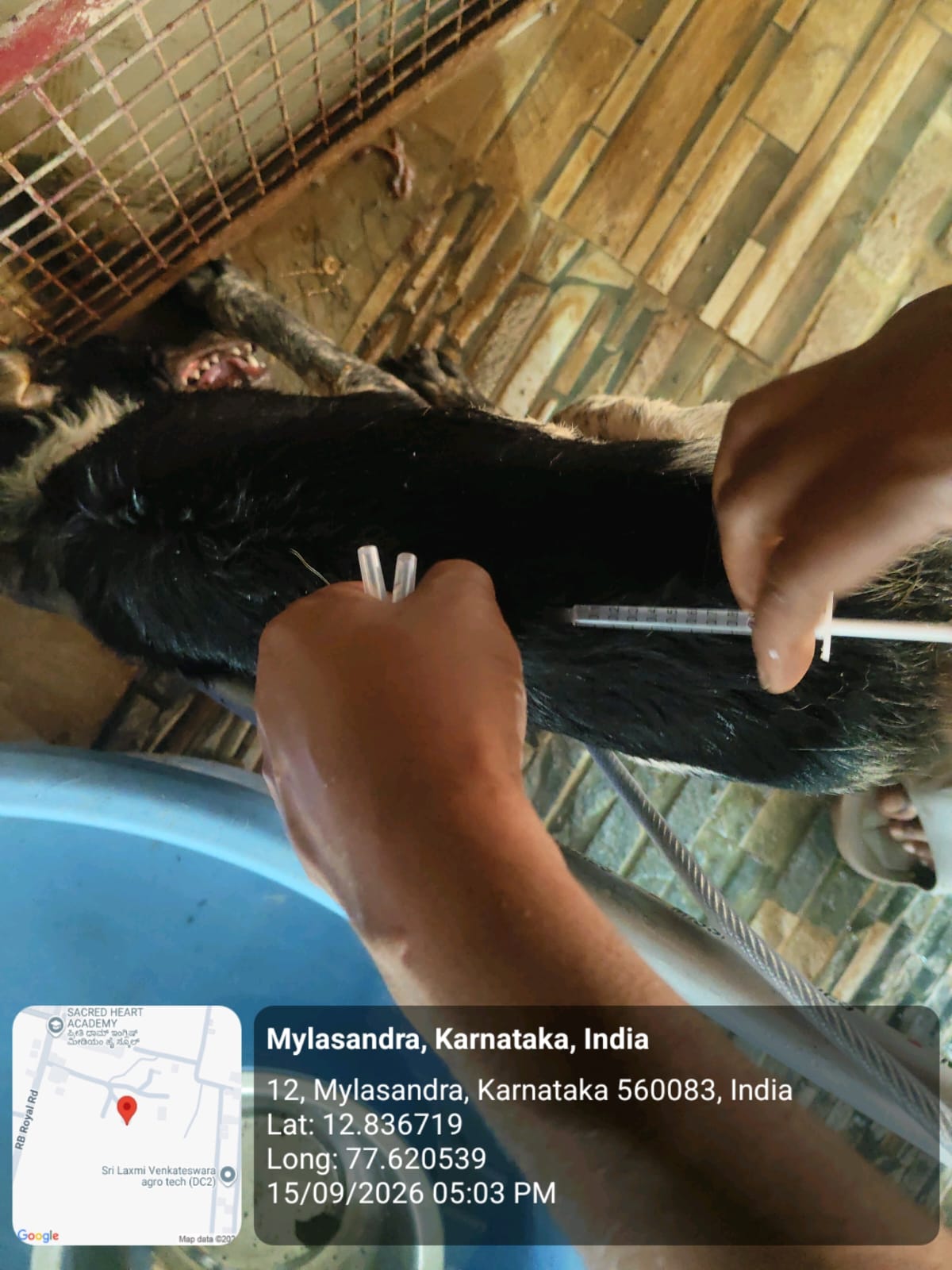 WhatsApp Image 2026-09-18 at 2.58.20 PM