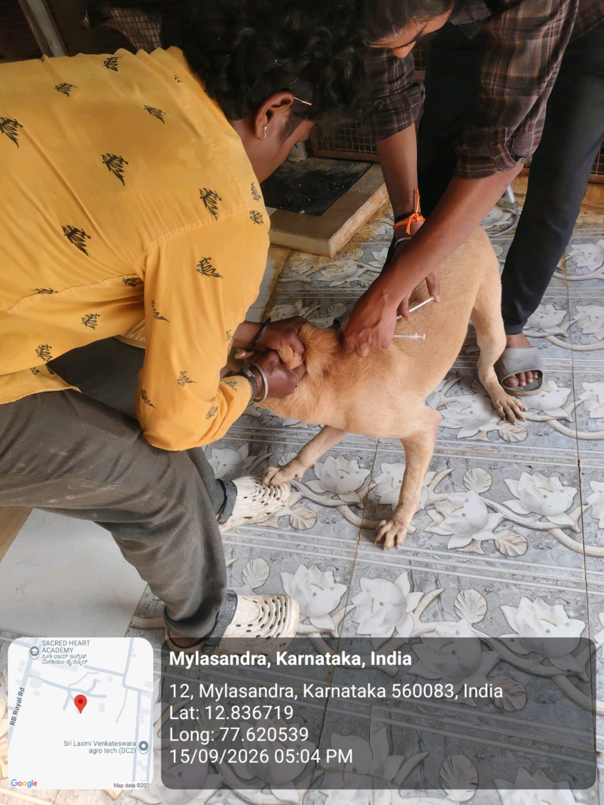 WhatsApp Image 2026-09-18 at 2.58.20 PM(1)