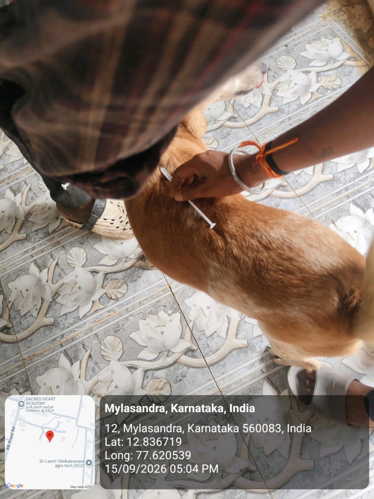 WhatsApp Image 2026-09-18 at 2.58.20 PM(2)