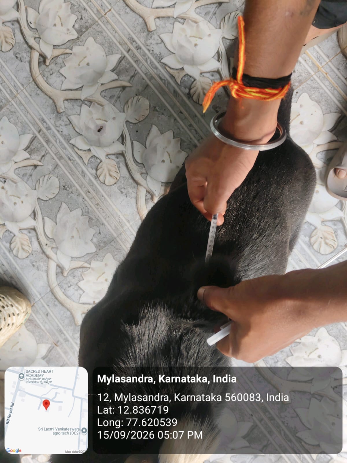 WhatsApp Image 2026-09-18 at 2.58.21 PM(1)