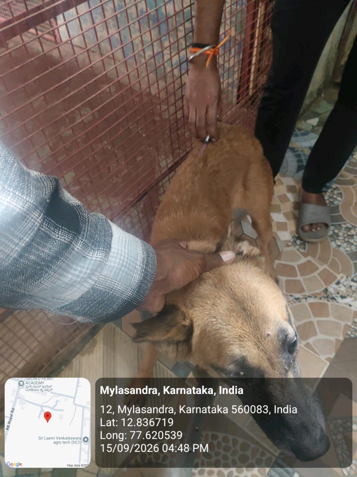 WhatsApp Image 2026-09-18 at 2.58.21 PM(2)