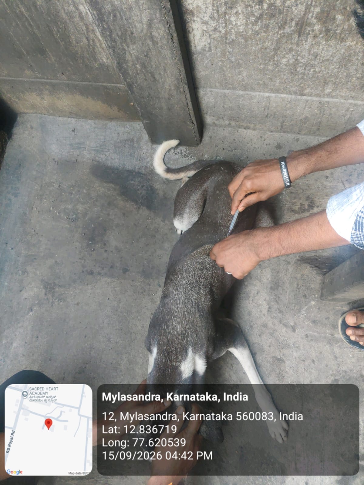 WhatsApp Image 2026-09-18 at 2.58.22 PM