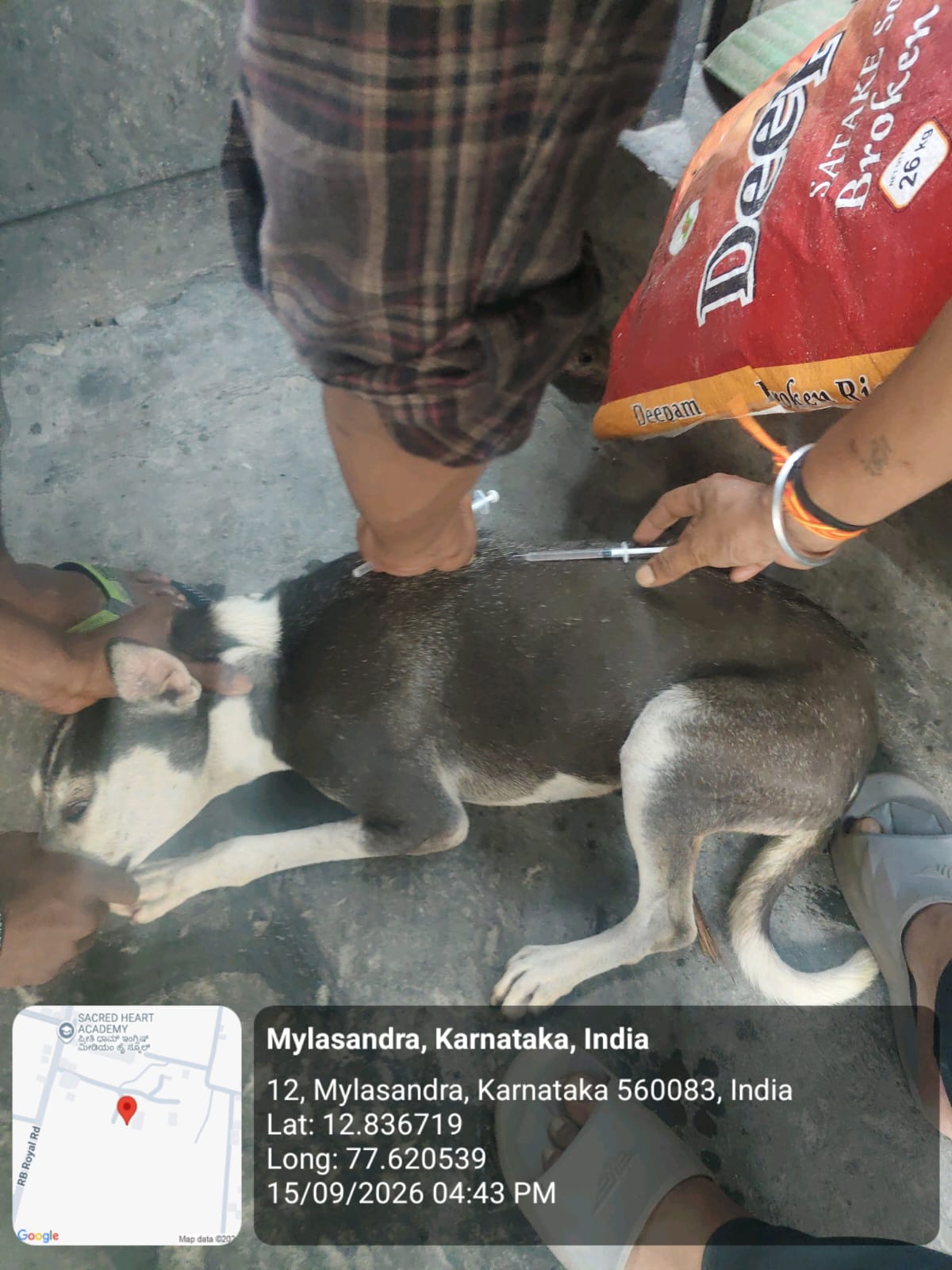 WhatsApp Image 2026-09-18 at 2.58.22 PM(1)