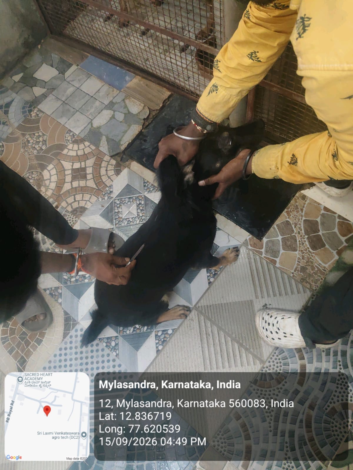 WhatsApp Image 2026-09-18 at 2.58.22 PM(2)