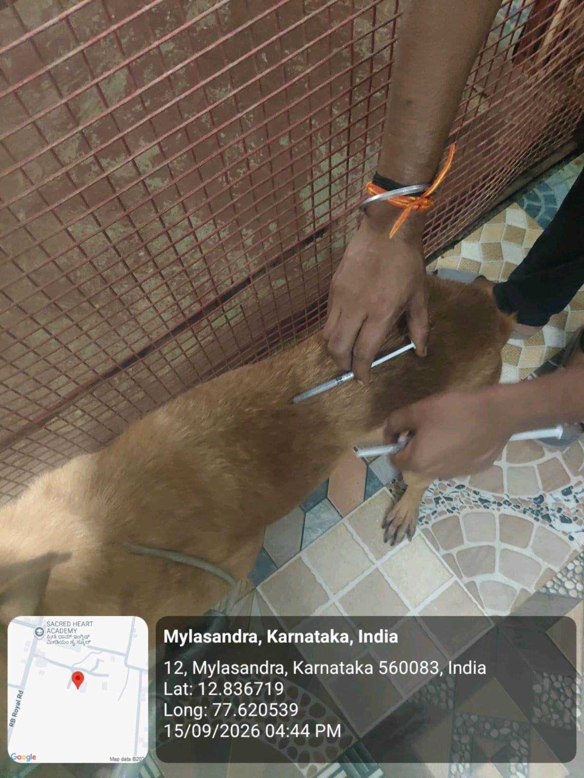 WhatsApp Image 2026-09-18 at 2.58.23 PM