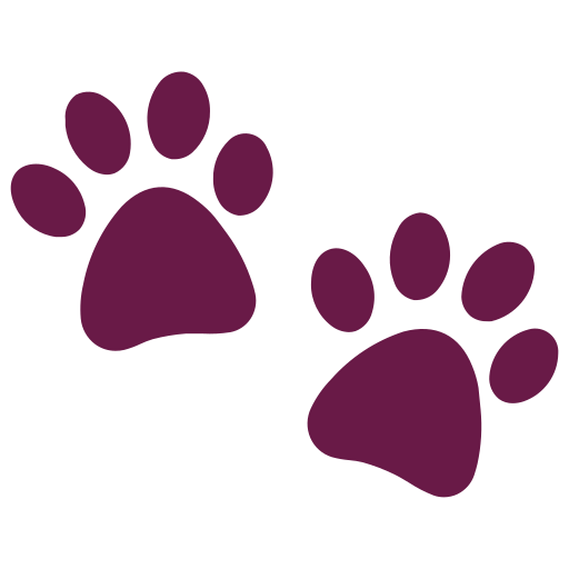 Approx. stray animals across Bangalore