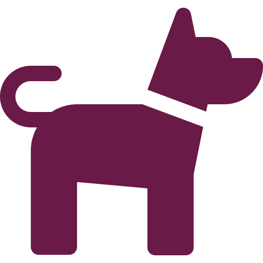 Estimated homeless animals in India