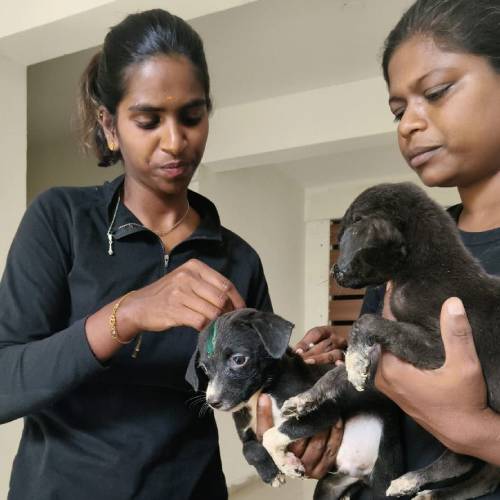 Vaccination Drive Manager