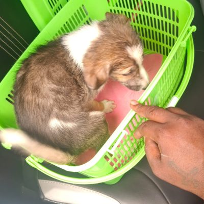 WhatsApp-Image-2025-07-02-at-12.29.40-PM