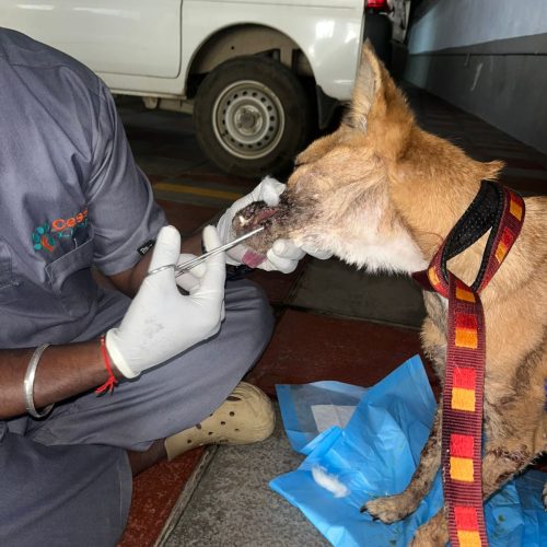 WhatsApp Image 2025-10-13 at 6.00.52 PM (1)